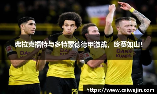 弗拉克福特与多特蒙德德甲激战，终赛如山！