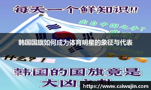 韩国国旗如何成为体育明星的象征与代表