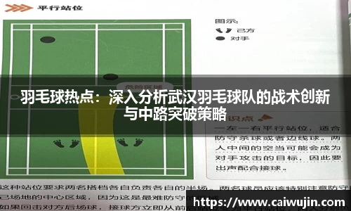 羽毛球热点：深入分析武汉羽毛球队的战术创新与中路突破策略