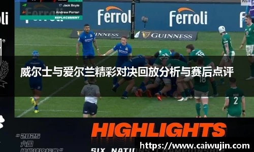 威尔士与爱尔兰精彩对决回放分析与赛后点评