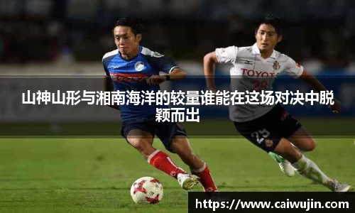 mk体育