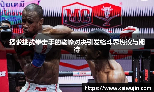 播求挑战拳击手的巅峰对决引发格斗界热议与期待